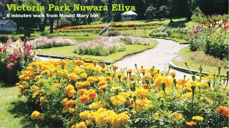 Mount Mary Inn Nuwara Eliya Eksteriør bilde