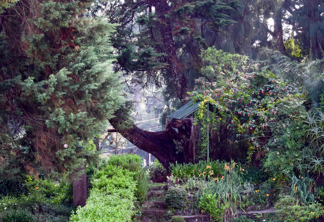 Mount Mary Inn Nuwara Eliya Eksteriør bilde